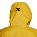 Arc'teryx Beta GTX Jacket (Daze - L)