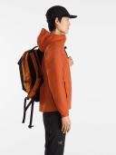Arcteryx Atom Hoody (Women's) Fika/Spark / S