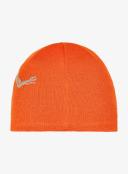 Arcteryx Bird Head Toque Beanie - Phenom/Habitat