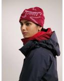 Arcteryx Bird Head Toque Beanie - Smoke Bluff/Arctic Silk
