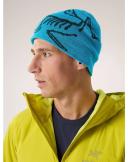 Arcteryx Bird Head Toque Beanie - Smoke Bluff/Arctic Silk