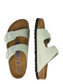 Arizona SFB Matcha Nubuck Leather Narrow / 43