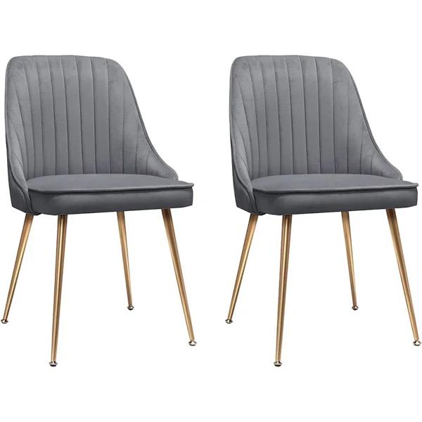 Artiss Set of 2 Dining Chairs Retro Chair Cafe Kitchen Modern Iron Legs Velvet Grey