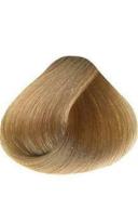 ArtX Colour Cream: 10 Really Light Blonde (Natural Colours)