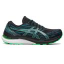 ASICS Gel Kayano 29