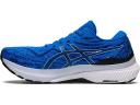ASICS Men's GEL-Kayano 29