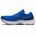 ASICS Men's GEL-Kayano 29
