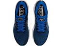 ASICS Men's GT-2000 10