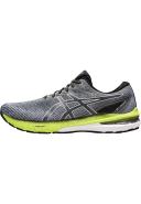ASICS Men's GT-2000 10 Running Shoes (Carrier Grey/White) 8.5 US