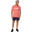 ASICS | Mens Triblend Training Short Sleeve Top (Red Alert) L