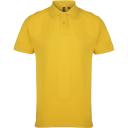 Asquith & Fox Mens Plain Short Sleeve Polo Shirt (Sunflower) (3XL)