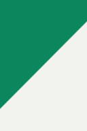 Autry Green & White Medalist Low Sneakers