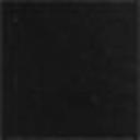 Ava and Ever Women's Thomas Shacket in Black | Size 14