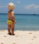 Bambino Mio Reusable Swim Diaper, Tropical, Large (1-2 Years), 3 Pack