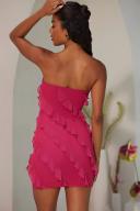 Bandeau Ruffle Detail Mini Dress in Fuchsia, 18