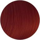 Be Color 12 Min Apricot 100ml