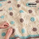 Bernat Baby Blanket Yarn - Little Lilac Dove Print