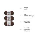 Bernat Blanket Yarn (3-Pack) Taupe 161200-29