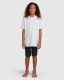 Billabong - Boys 8-16 Fifty50 Panel Pro Boardshorts - Size 30