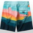 Billabong Sundays Pro Board Shorts Desert