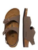 Birkenstock Brown Roma Sandals