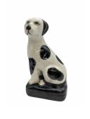 Black and White Dog Pair