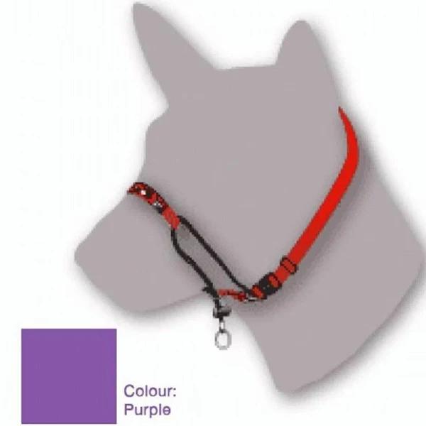 Black Dog Training Halter Purple Medium