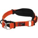 Black Dog Wear Tuffy Collar, Large / Apple Green