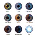 Blue Natural Colored Contact Lenses Tri Tone (90 Day)