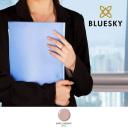 Bluesky 80564 Bare Lingerie Gel Nail Polish 15ml