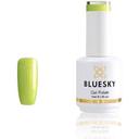 Bluesky Gel Nail Polish Classic Collection