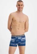 Bonds 3 Pack Everyday Trunks