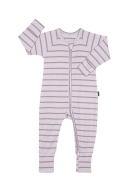 Bonds Baby Ribbed Zippy - Zip Wondersuit, Stripe