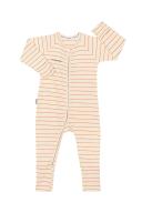 Bonds Baby Ribbed Zippy - Zip Wondersuit, Stripe