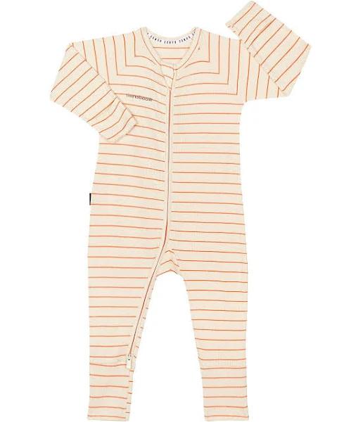 Bonds Baby Ribbed Zippy - Zip Wondersuit, Stripe