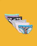 Bonds Bikini 5 Pack in Gardenia Lane Multi 12-14
