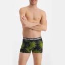 Bonds Everyday Trunk 3 Pack - Spike Palm Black