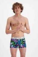Bonds Guyfront Trunk in Online Tropic Size: Small