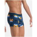 Bonds Guyfront Trunk in Online Tropic Size: Small