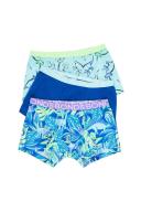 Bonds Kids Trunk 3 Pack - Dinosaur Garden Blue / 2/3