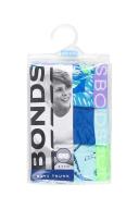 Bonds Kids Trunk 3 Pack - Dinosaur Garden Blue / 2/3