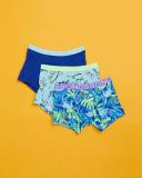 Bonds Kids Trunk 3 Pack - Dinosaur Garden Blue / 2/3