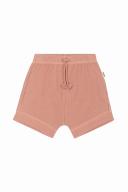 Bonds Waffle Short - Peach Dust