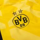 Borussia Dortmund Pre Match Jacket - Yellow
