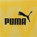 Borussia Dortmund Pre Match Jacket - Yellow