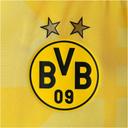 Borussia Dortmund Pre Match Jacket - Yellow