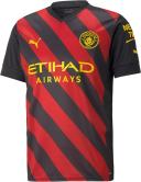 Borussia Dortmund Pre Match Jacket - Yellow