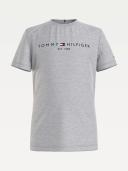 Boys Tommy Hilfiger Grey Essential Logo T-Shirt - Grey