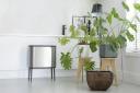 Brabantia Bo Touch Bin 316081 3 x 11 LT Matt Steel Fingerprint Proof