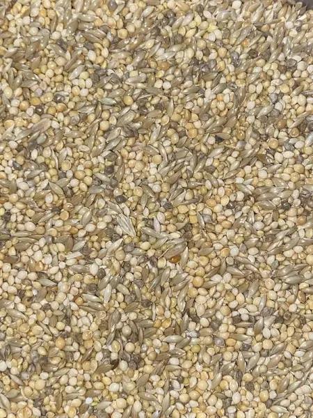 Budgie Mix Avigrain per 10kg